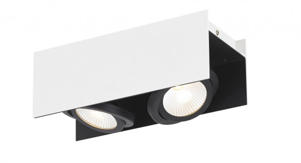 LED-kattovalaisin Eglo Vidago, 2x5.4W, 310x110x130mm, IP20, himmennettävä, valkoinen/musta
