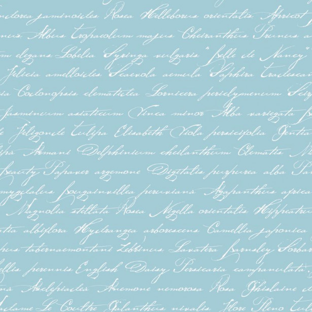 Tapetti Handwriting Latin Flower Names 128037 0,53x10,05 m akvamariini non-woven