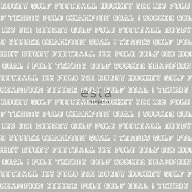 Tapetti Esta College 138802, 0,53x10,05m, harmaa