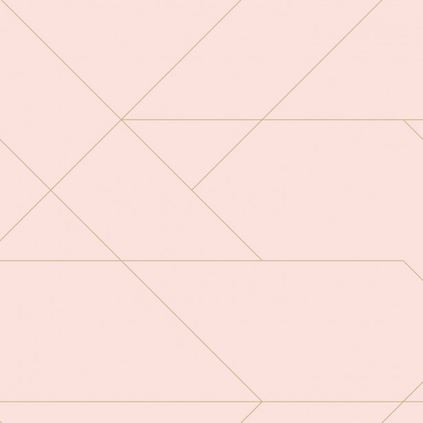 Tapetti Esta Art Deco 139211, 0.53x10.05m, non-woven, vaaleanpunainen