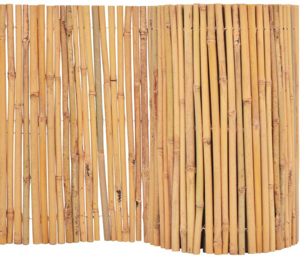 Bambuaita, 500x50cm