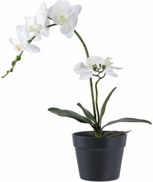 Tekokasvi House Nordic Orkidea, 49cm, valkoinen/vihreä