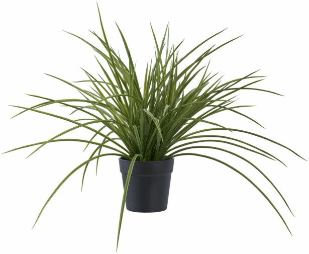 Tekokasvi House Nordic Ruoho, 45cm, vihreä