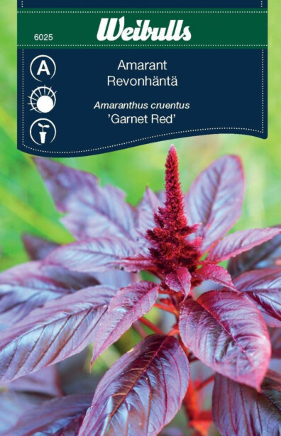 Amarantti Weibulls 'Garnet Red' siemenet