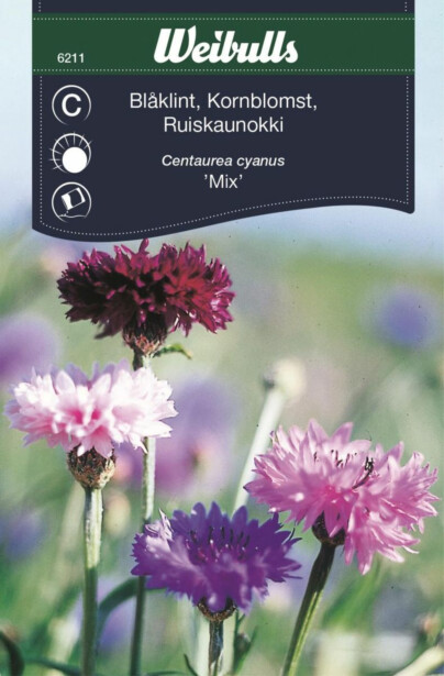 Ruiskaunokki Weibulls mix siemenet