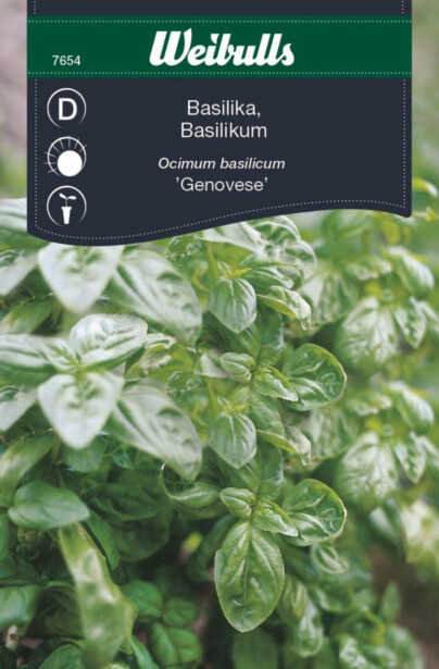 Basilika Weibullsgenovese siemenet