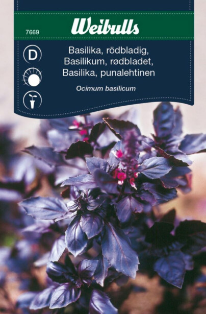 Basilika Weibulls punalehtinen siemenet