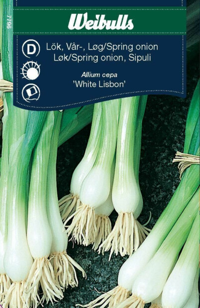 Sipuli Weibulls ruohosipuli White Lisbon siemenet