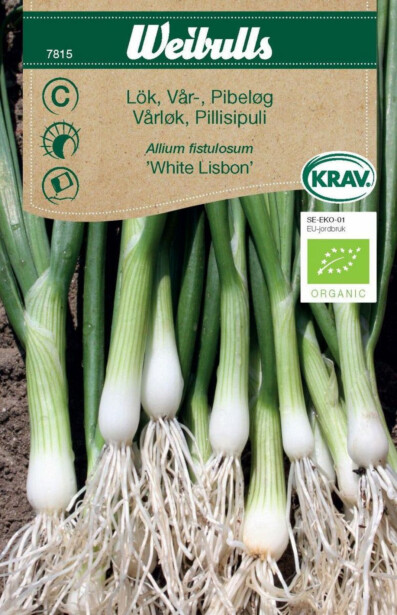 Sipuli Weibulls kevätsipuli Krav
