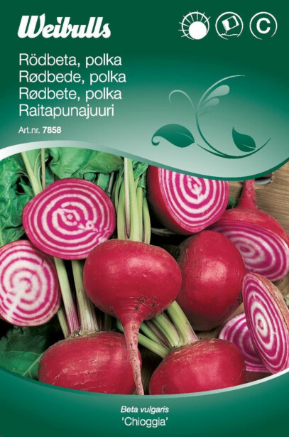 Punajuurikkaan siemenet Weibulls Chioggia Polkabet