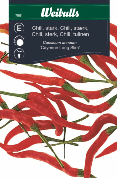 Chili Weibulls Cayenne Long Slim siemenet
