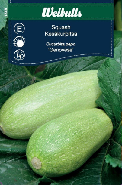 Kesäkurpitsan siemenet Weibullsgenovese