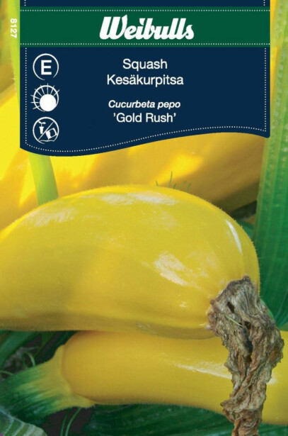 Kesäkurpitsan siemenet Weibullsgold Rush