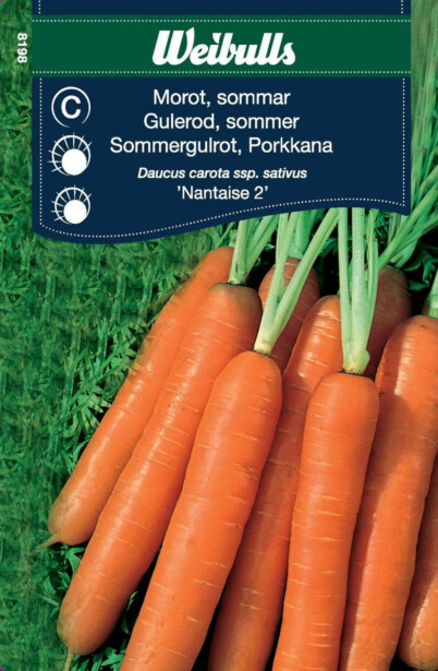 Porkkana Weibulls kesä Nantaise 2 siemenet
