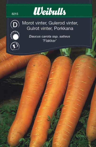 Porkkana Weibulls talvi Flakker siemenet