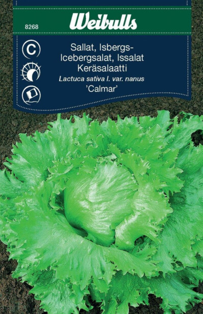 Salaatin siemenet Weibulls Isberg 'Calmar'