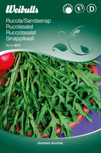 Rucola Weibulls hietasinappi siemenet