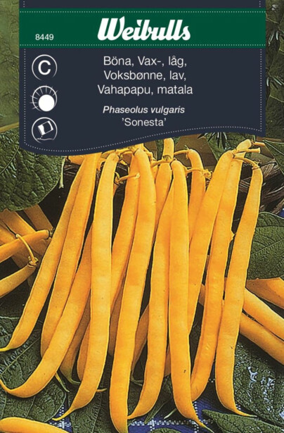 Papu Weibulls vahapapu matala siemenet