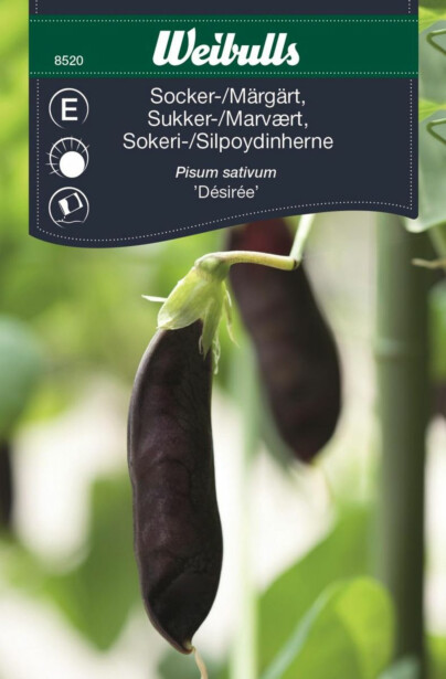 Sokeriherne Weibulls Märg/sokeri Lila Frö
