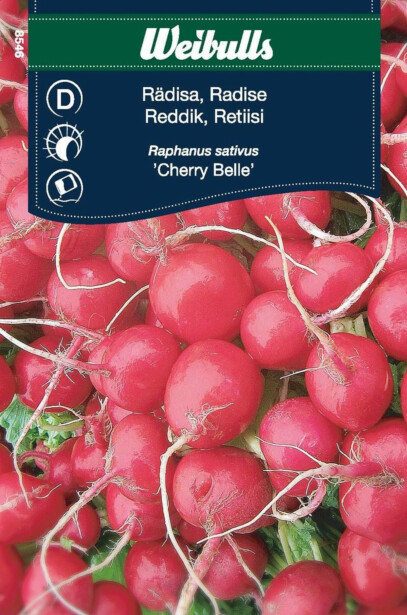 Retiisin siemenet Weibulls Cherry Belle