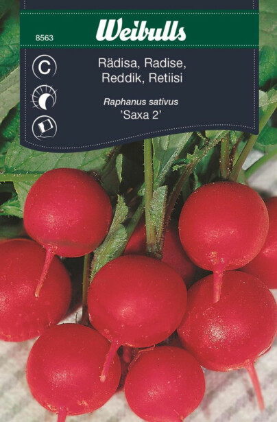 Retiisin siemenet Weibulls Saxa