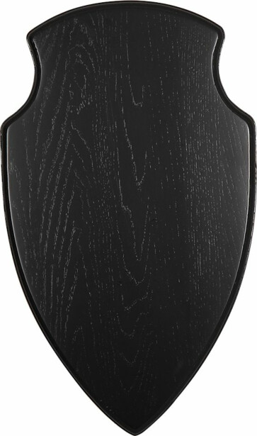Trofee taustalevy 5etta hirvi