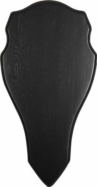 Trofee taustalevy 5etta kruunuhirvi