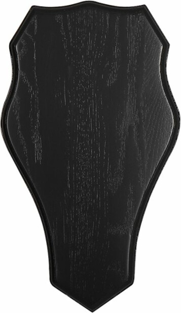 Trofee taustalevy 5etta kuusipeura