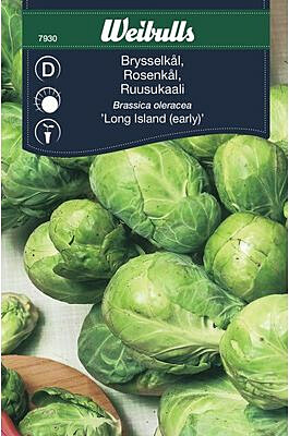 Ruusukaali Weibulls siemenet