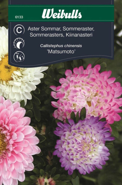 Kesäasteri Weibulls pastelli siemenet