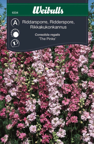 Rikkakukonkannus Weibulls The Pinks siemenet