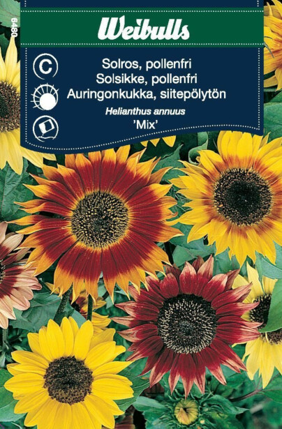 Auringonkukan siemenet Weibulls siitepölytön mix