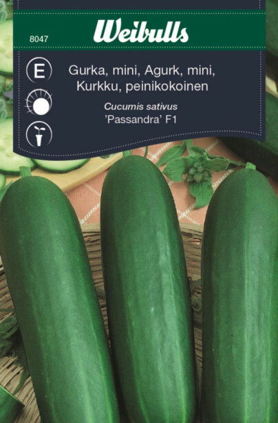 Kurkku Weibulls välipalakurkut siemenet