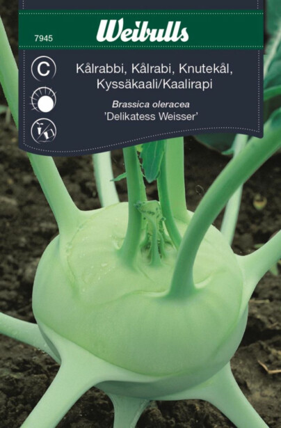 Kyssäkaali Weibulls Delikat.Weisser siemenet