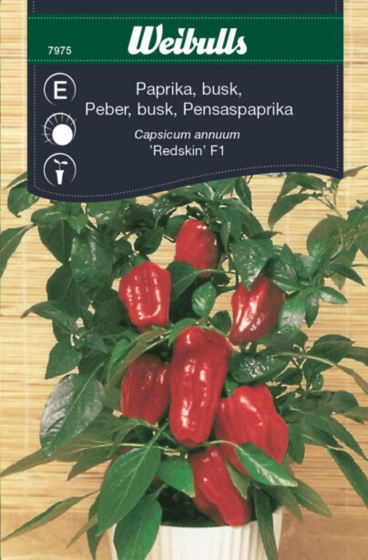 Paprika Weibulls pensas siemenet