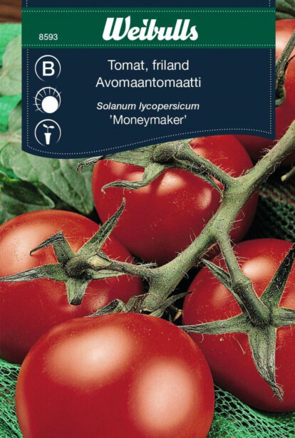Tomaatti Weibulls Friland Moneymaker Frö
