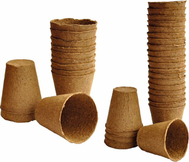 Bioruukku Weibulls 8cm 12kpl