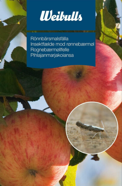 Pihlajanmarjakoiansa Weibulls