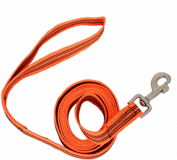 Koiran talutushihna 5etta 2.30m AntiSlip heijastimella Blaze