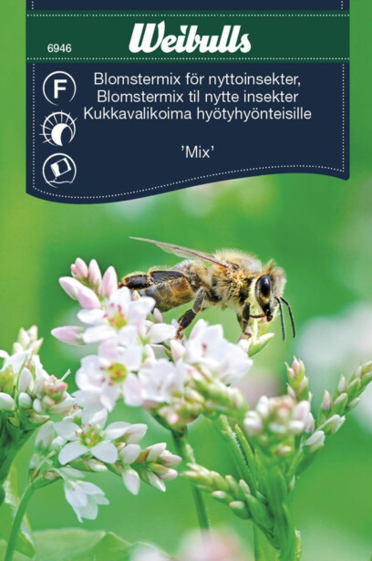 Kukkaseos Weibulls hyötyhyönteisille siemenet
