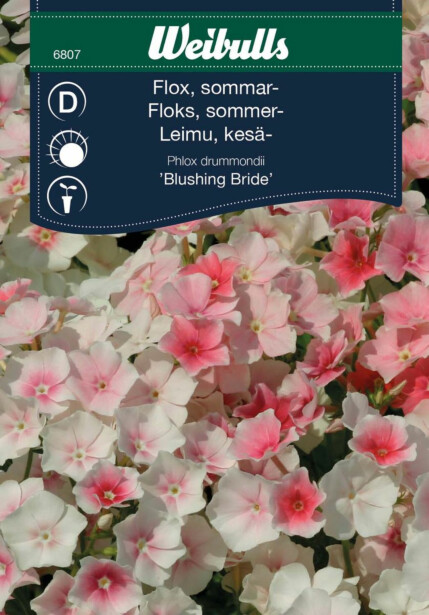 Floksi Weibulls Blushing Bride