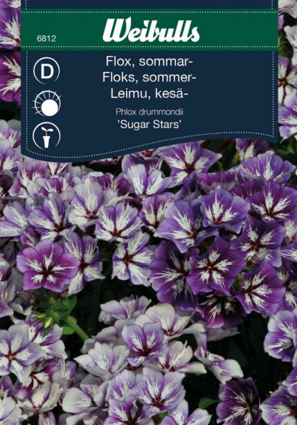Floksi Weibulls Sugar Stars siemenet