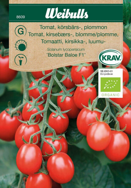 Tomaatti Weibulls KRAV kirsikka/luumu