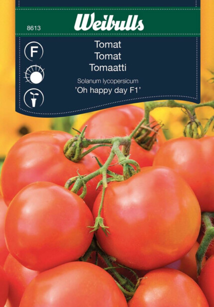 Tomaatti Oh Happy Day F1 Weibulls