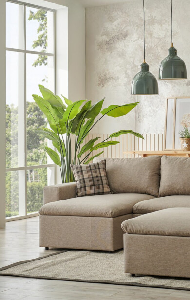Divaanisohva Linento Furniture Flov, 3-istuttava, kerma