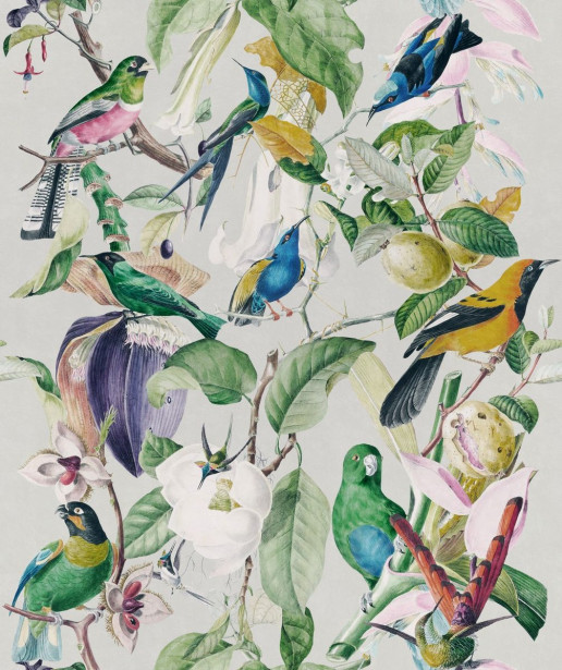 Paneelitapetti Mindthegap Tropical Birds, 1.56x3m