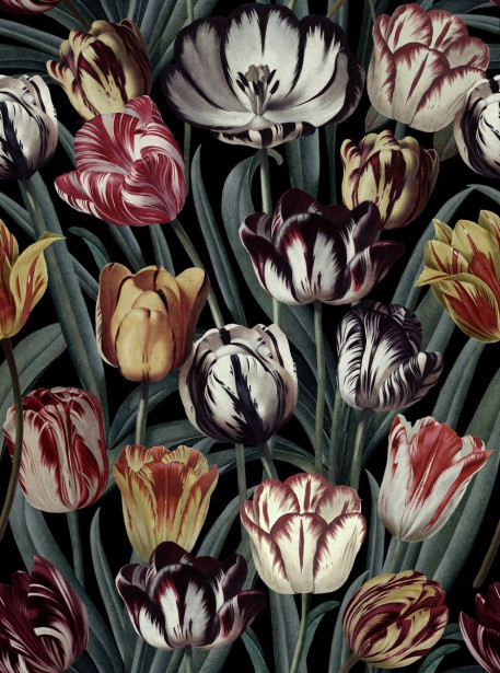 Paneelitapetti Mindthegap Tulipa Dark, 1.56x3m