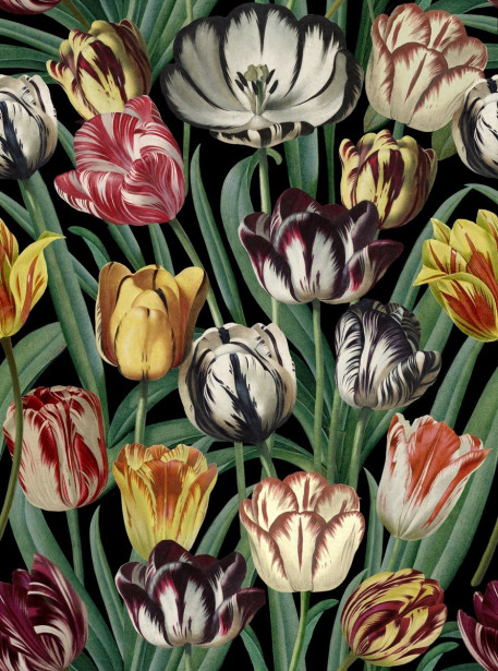 Paneelitapetti Mindthegap Tulipa, 1.56x3m