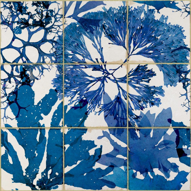 Paneelitapetti Mindthegap Algae in blue, 1.56x3m