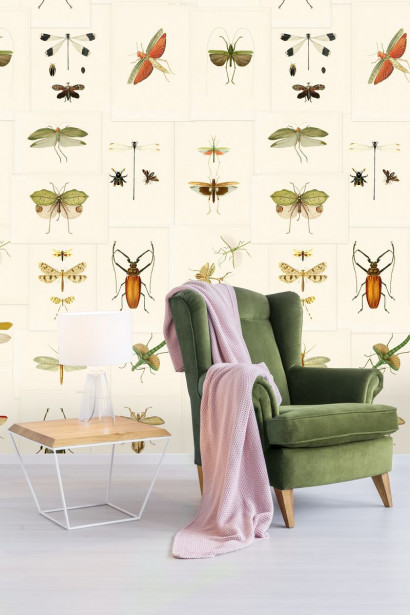 Paneelitapetti Mindthegap Entomology, 1.56x3m